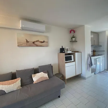 Apartment 2 Bedrooms, 15 Min Walk To Beach, Ac, Pool & Fiber Internet In A Quiet, Private Gated Domain 5kms To St Tropez Cogolin